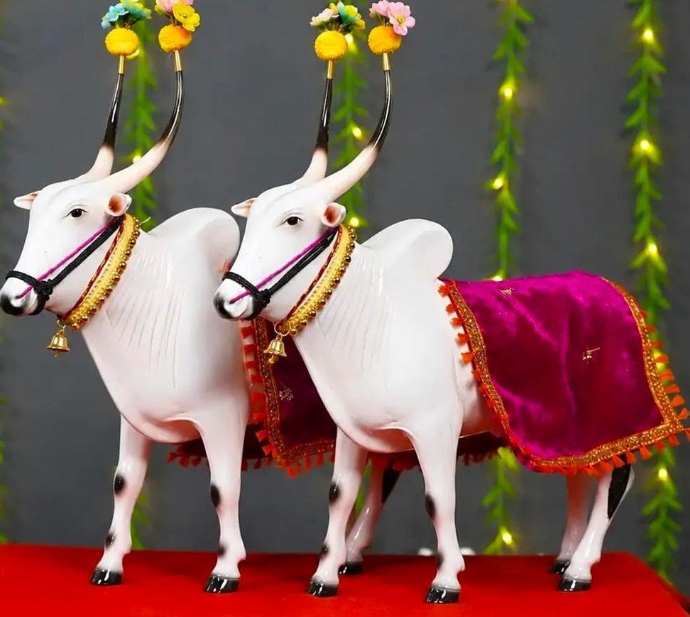 बैल जोडी साईज 9 inch